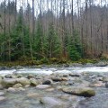 Lynn Canyon Park (2)