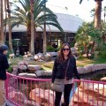Sharni and Pink Flamingos at the Flamingo Casino and Resort