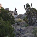 Sharni at the top of the Teutonia Peak Trail, Mojave Preserve California
