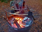 camp oven cooking in redwoods
