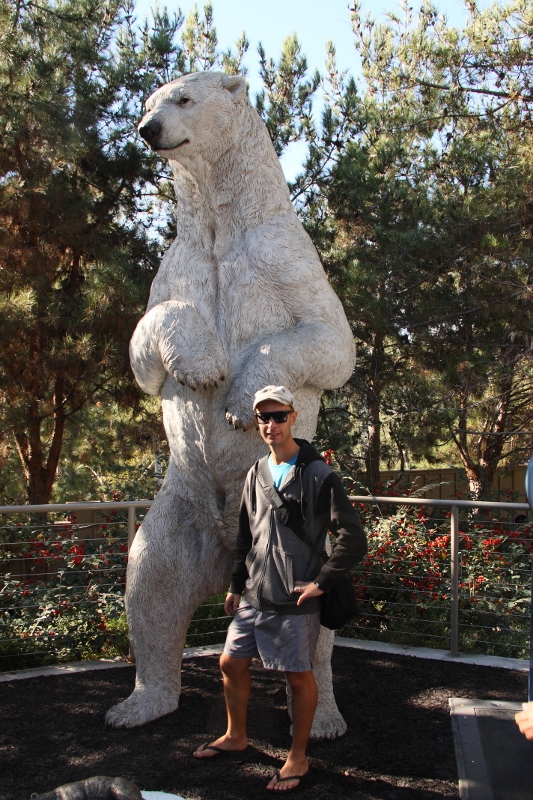 polar bear statue at san diego zoo