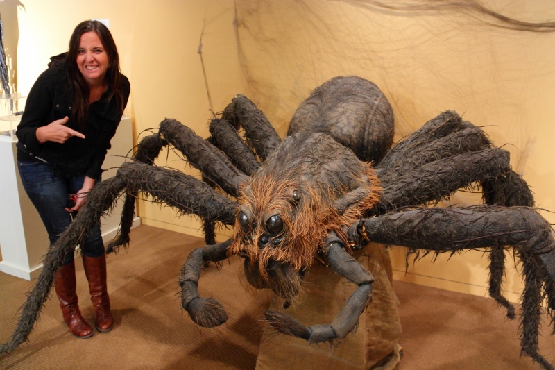 hollywood studios harry potter spider