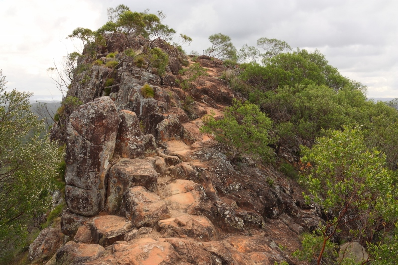 Mount Ngungun Glass House Mountains