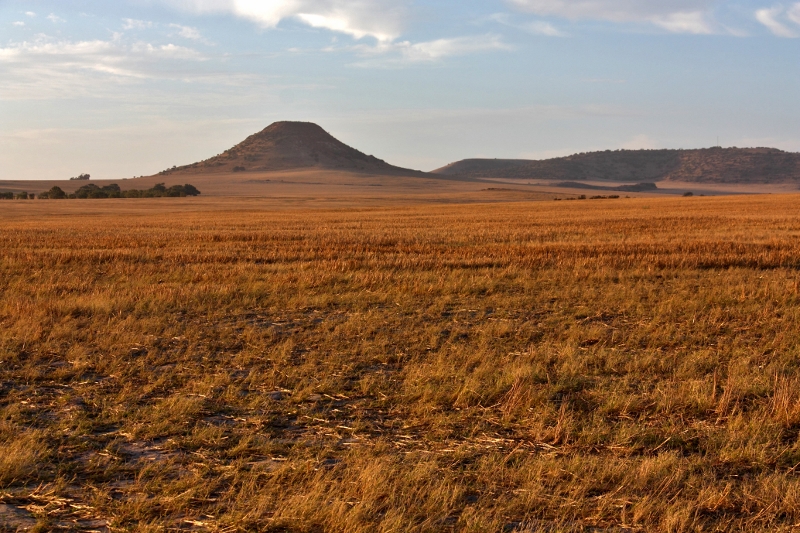 mt fairfax moonyoonooka