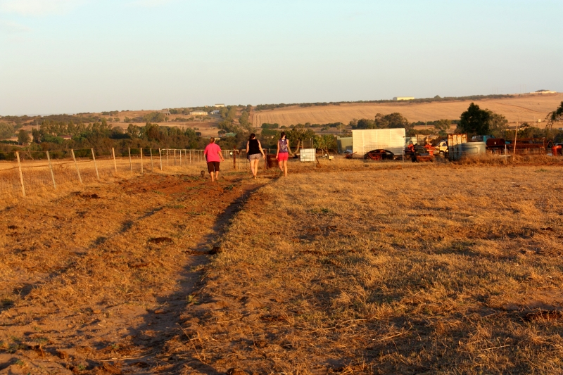 walking around the farm