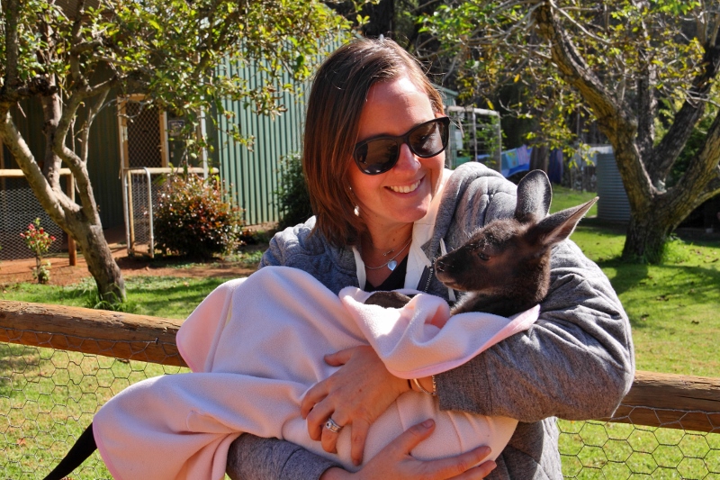 baby joey at balingup heritage country cheese