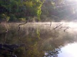 early morning mist warren river