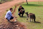 feeding kangaroos at heritage country cheese