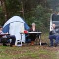 camping at big brook aboretum