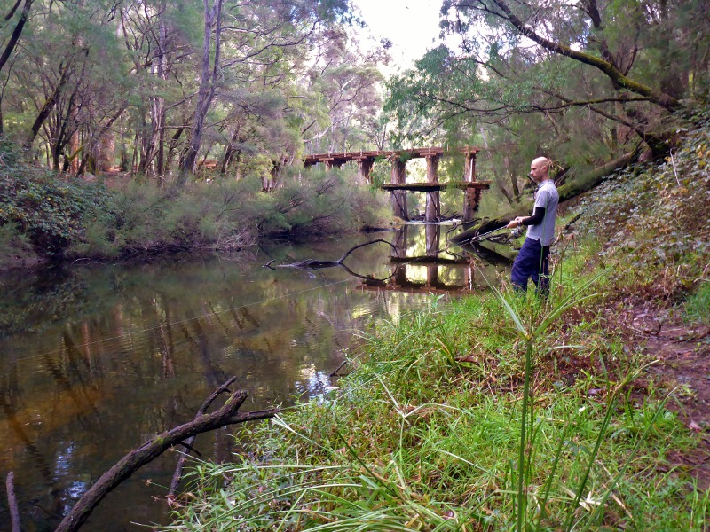 trout fishing warren river
