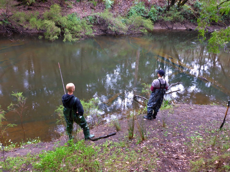 fishing for trout warren river