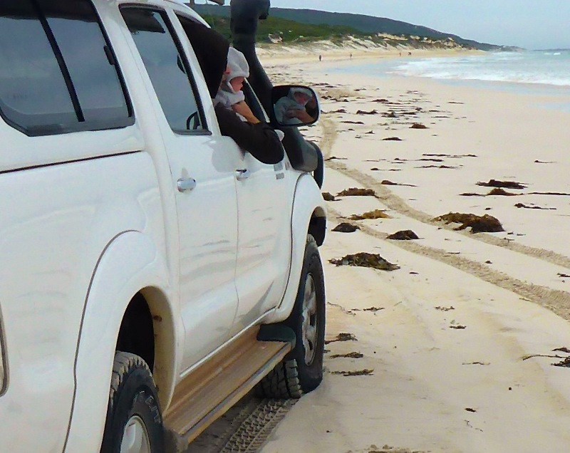 teaching baby to spot salmon