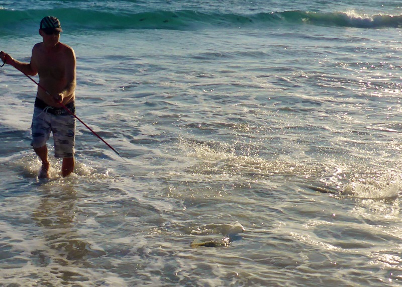 trying to spear salmon