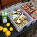 camp food supplies