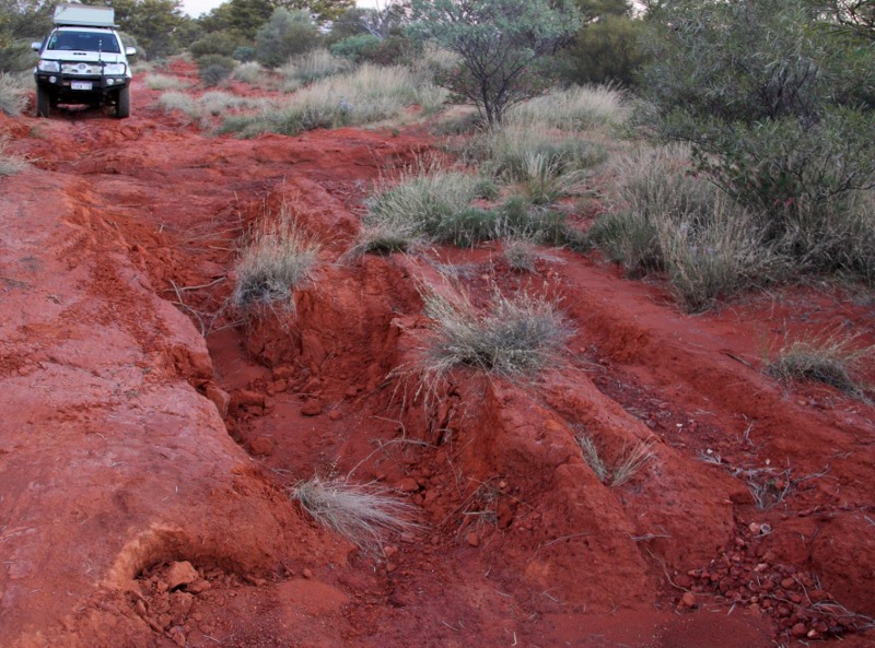 david carnegie road ruts