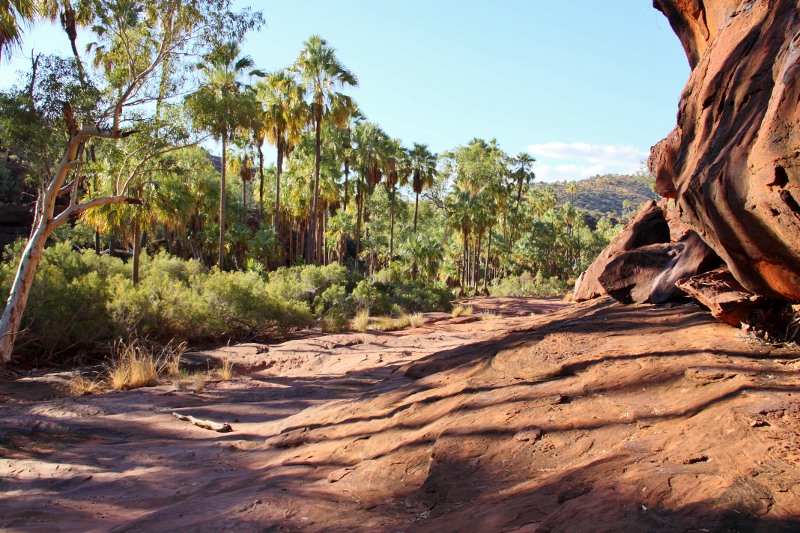 palm valley walking trail
