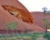 uluru base walk cave