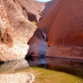 uluru water hole