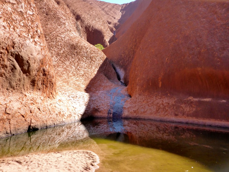 uluru water hole