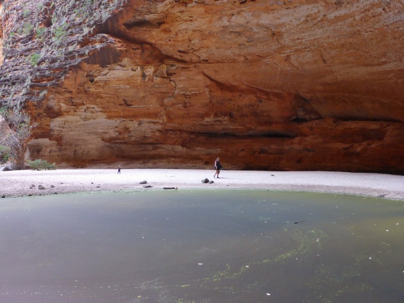 bungle bungles cathedral gorge