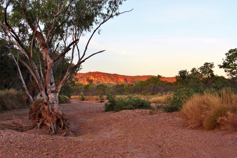 bungle bungles from camp