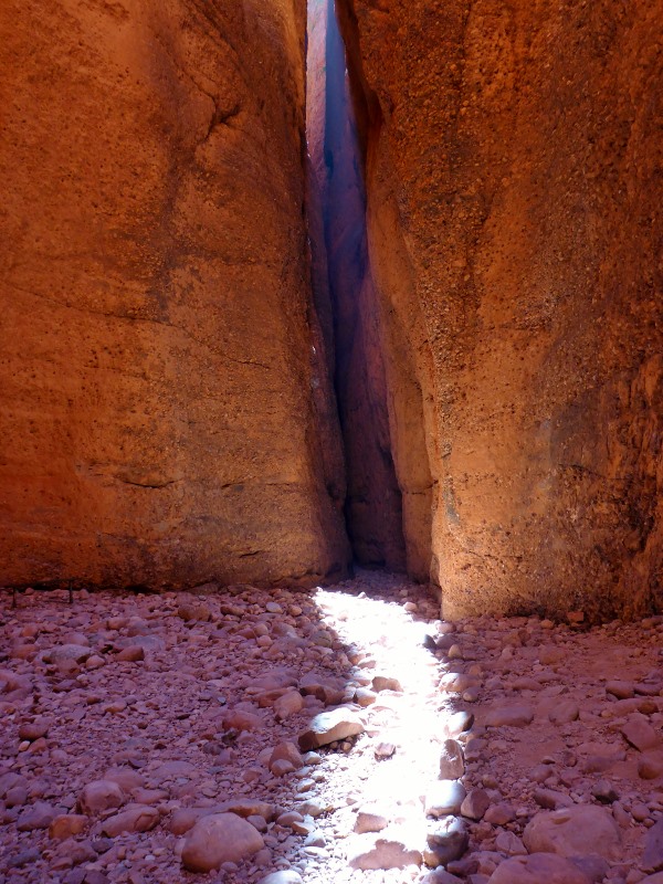 echidna chasm light