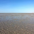 80 mile beach tidal flats low tide