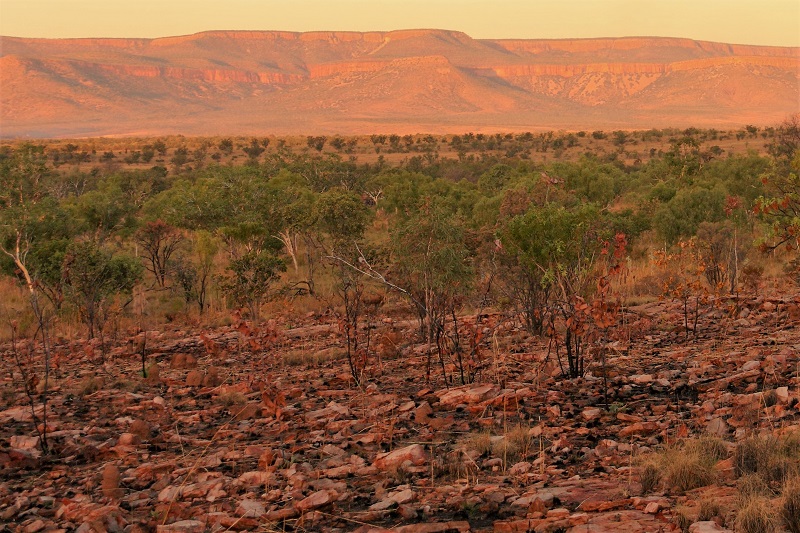 cockburn ranges from home valley lookout