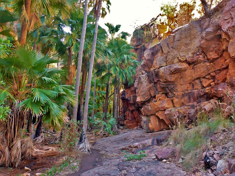 el questro gorge walking trail