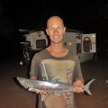 pender bay mackerel