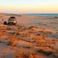 quondong beach camping