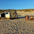 quondong point camp