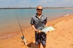 spoil bank trevally