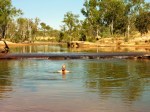 swimming at gibb river crossing