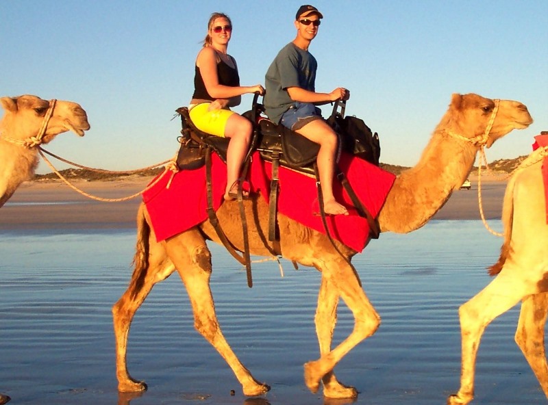 2003 broome camel ride