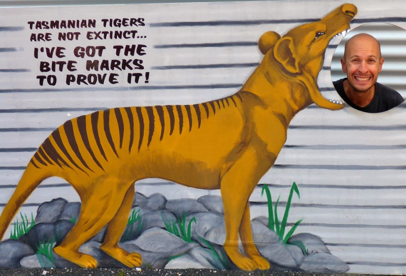 latrobe tasmanian tiger