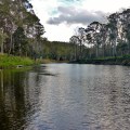mersey river near latrobe trout fishing