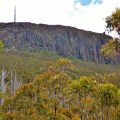 mount wellington from walking trail