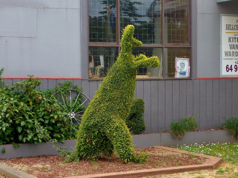 railton topiary hedges kangaroo