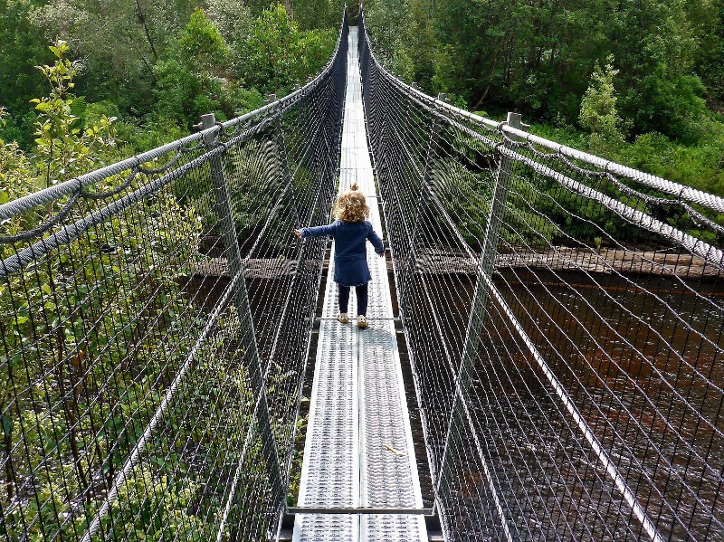 Tahune airwalk bridge