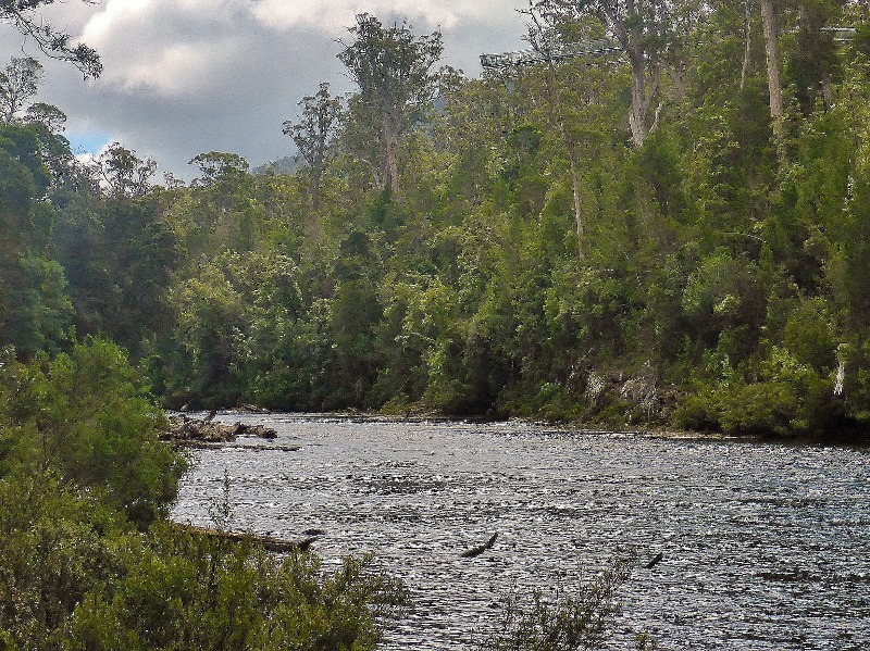 Tahune airwalk cantilever from river