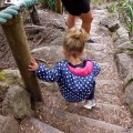 tarkine walk steps