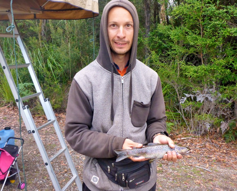 Trout huon river tahune