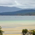 Bruny Island Oyster Farm