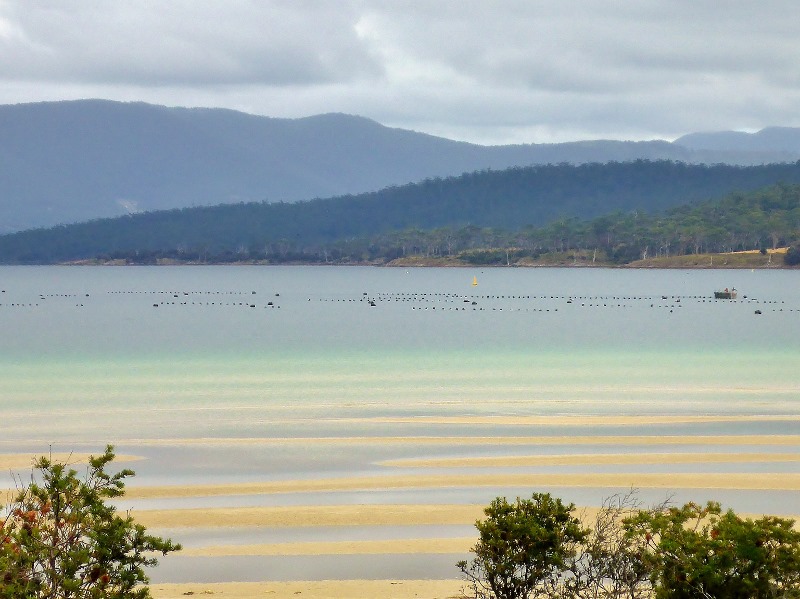 Bruny Island Oyster Farm