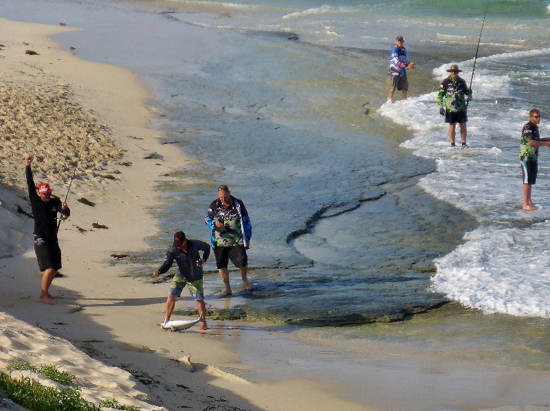 catching australian salmon