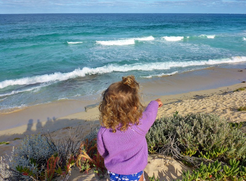 learning to spot salmon
