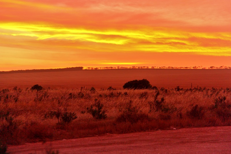 nullarbor plains nundroo sunset