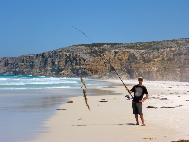 twilight cove fishing seaweed