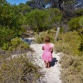walking track around eyre bird observatory